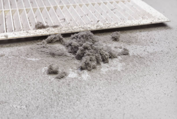 Best Air Duct Cleaning Near Me in Nolanville, TX
