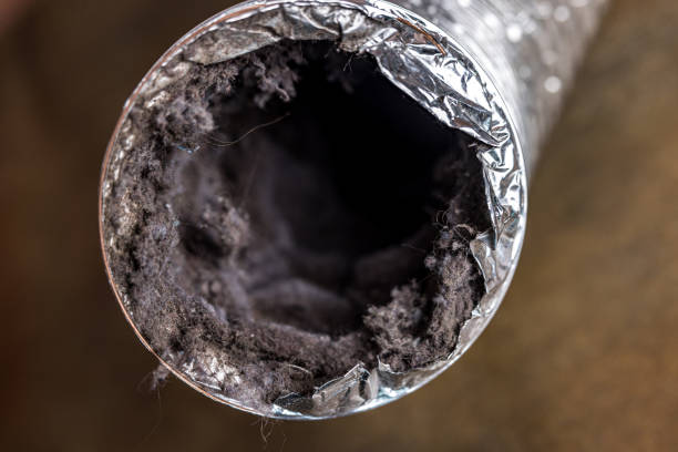 Best Commercial Air Duct Cleaning  in Nolanville, TX