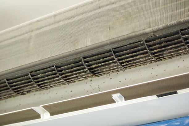 Best Commercial Air Duct Cleaning  in Nolanville, TX
